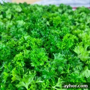 close up of fresh parsley leaves