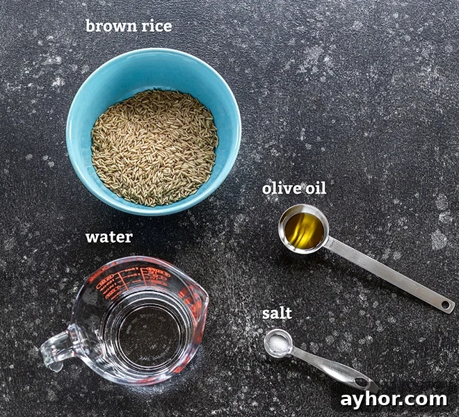 Fluffy Instant Pot Brown Rice in 20 Minutes 4 bowl of brown rice, spoon with oil and salt all placed on a board