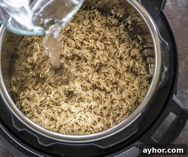 Fluffy Instant Pot Brown Rice in 20 Minutes 6 water being added to brown rice in an instant pot