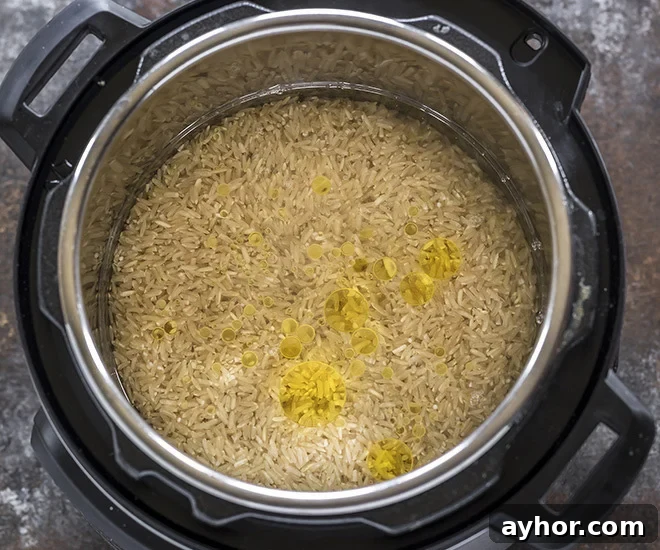 Fluffy Instant Pot Brown Rice in 20 Minutes 7 brown rice in the instant pot