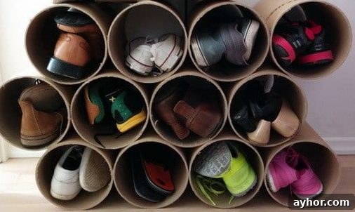 cardboard shoe organizer