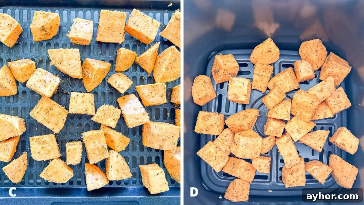 Potatoes on the tray type of air fryer and a basket type