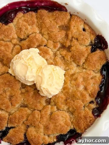 the whole pan of blueberry peach cobbler with scoops of ice cream on top.