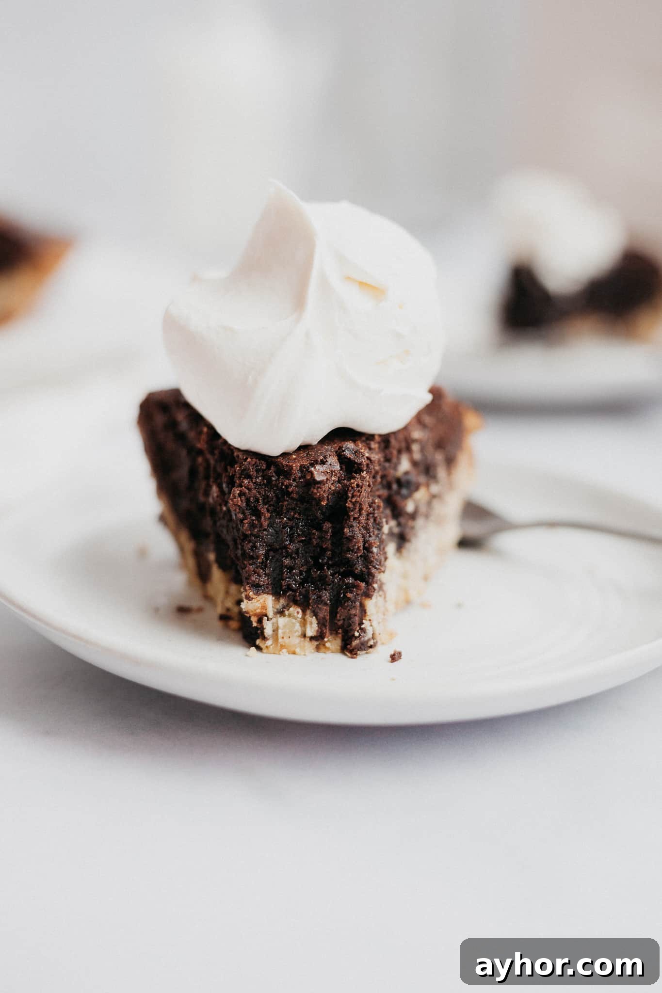 Decadent Chocolate Brownie Pie Recipe 18 straight on view of a slice of brookie pie with a bite taken out of it